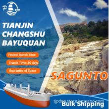 Bulk Shipping from Tianjin to Sagunto